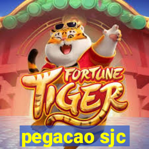 pegacao sjc